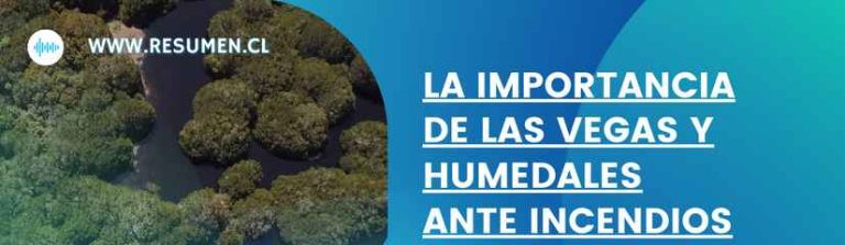 DOCUMENTAL: “La Importancia de las Vegas y Humedales ante Incendios Forestales”