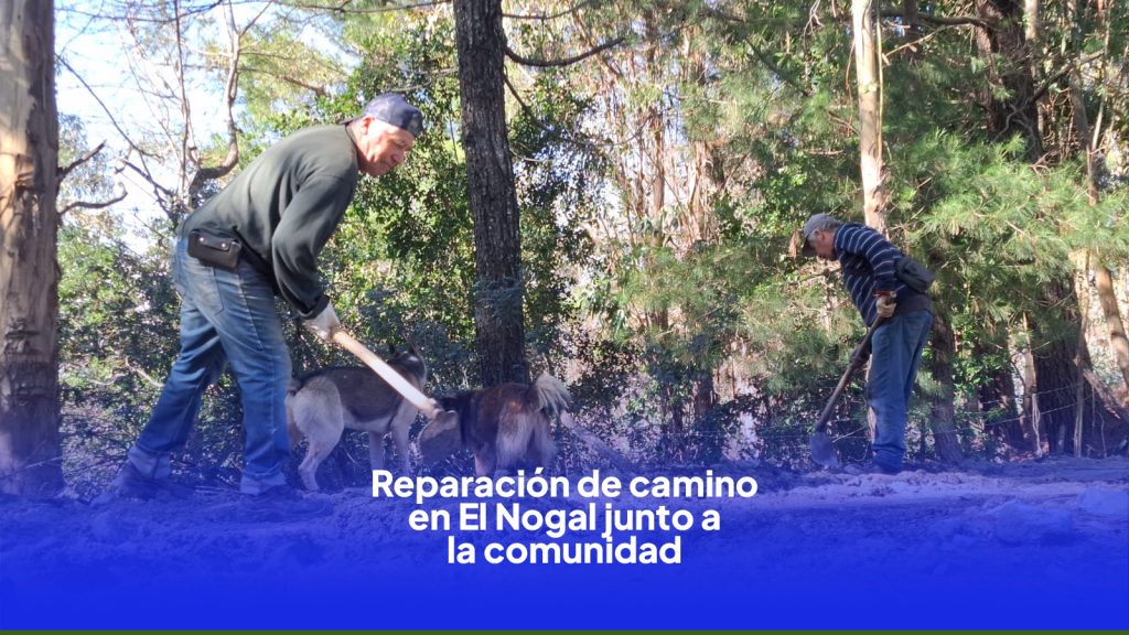 🤝🚜 ¡Trabajando en terreno y codo a codo con nuestra comunidad!