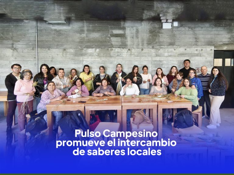 Durante la semana pasada continuaron las jornadas de Pulso Campesino, iniciativa que promueve el intercambio de saberes artesanales entre las comunas de Santa Juana, Hualqui y Florida.